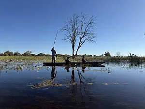 Chobe river