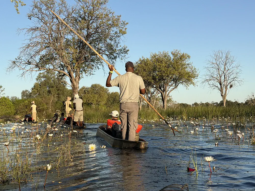Safari guest sitting in a traditional mokoro canoe gliding quietly through water lilies