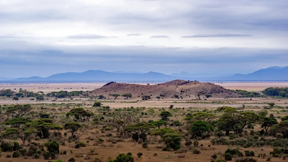 tanzania Mountain